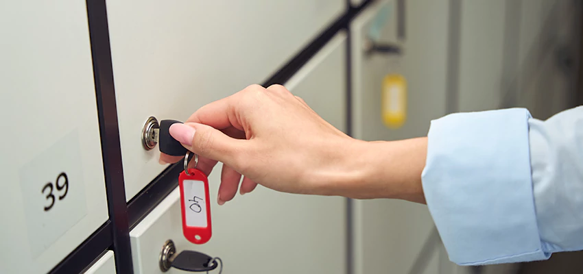 Cabinet Lock Installation in La Presa, California